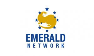 Emerlad network