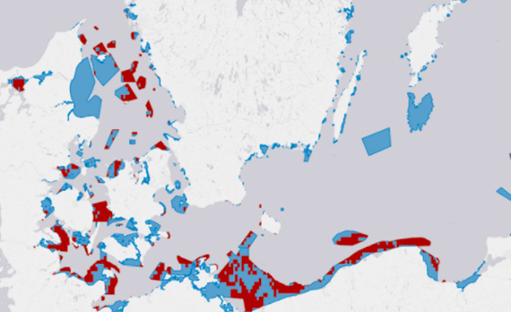 Донное траление препятствует восстановлению Балтийского моря – доклад WWF призывает органы власти принять меры